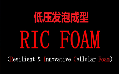低压发泡成型 RICFOAM